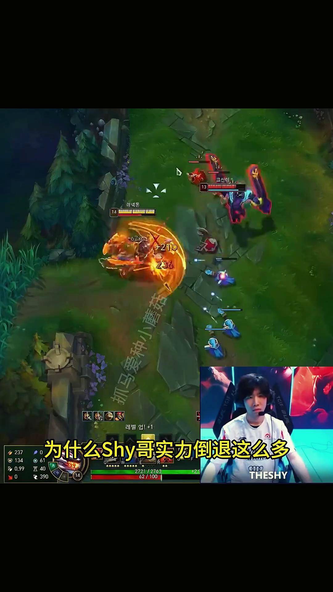 包含热火引发争议！，TheShy官方宣布重要助攻新规观众掌声雷动的词条